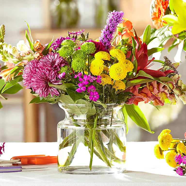 Bold & Bright- Designer's Choice