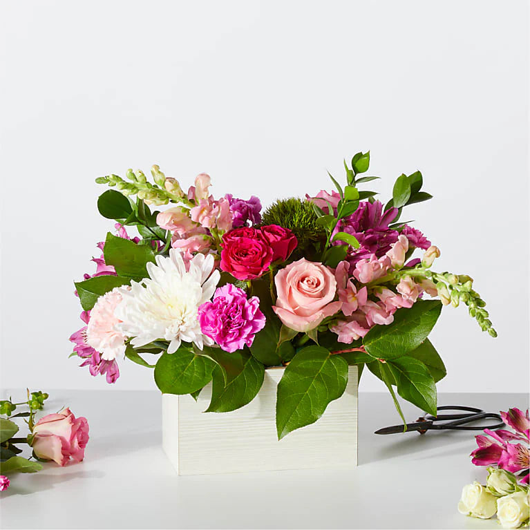 Sweetberry Box- Designer's Choice – LANGE'S WOODLAND FLOWERS, Lemont IL