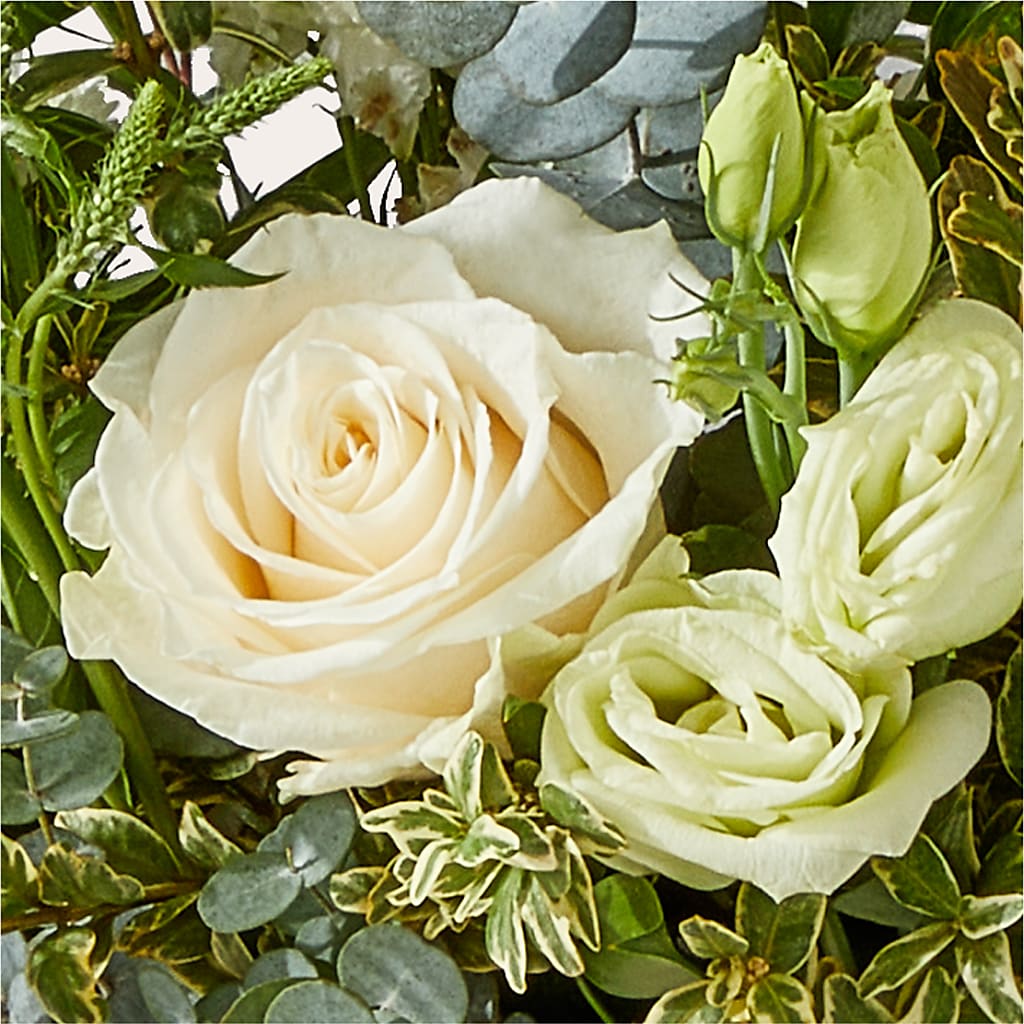 Cashmere Bouquet – LANGE'S WOODLAND FLOWERS, Lemont IL