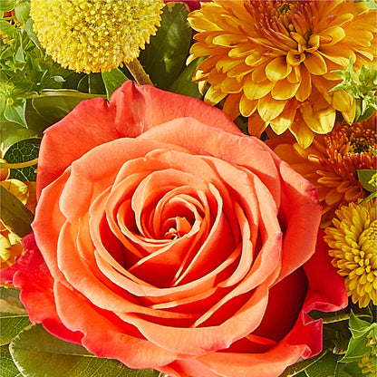 Gourdgeous Pumpkin – LANGE'S WOODLAND FLOWERS, Lemont IL